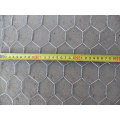 Hot-DIP / electro galvanizado red de alambre hexagonal